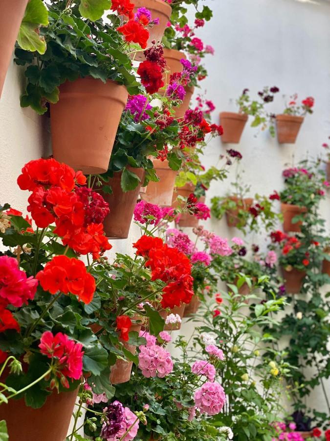 Amal Casa De Huespedes Appartement Córdoba Buitenkant foto