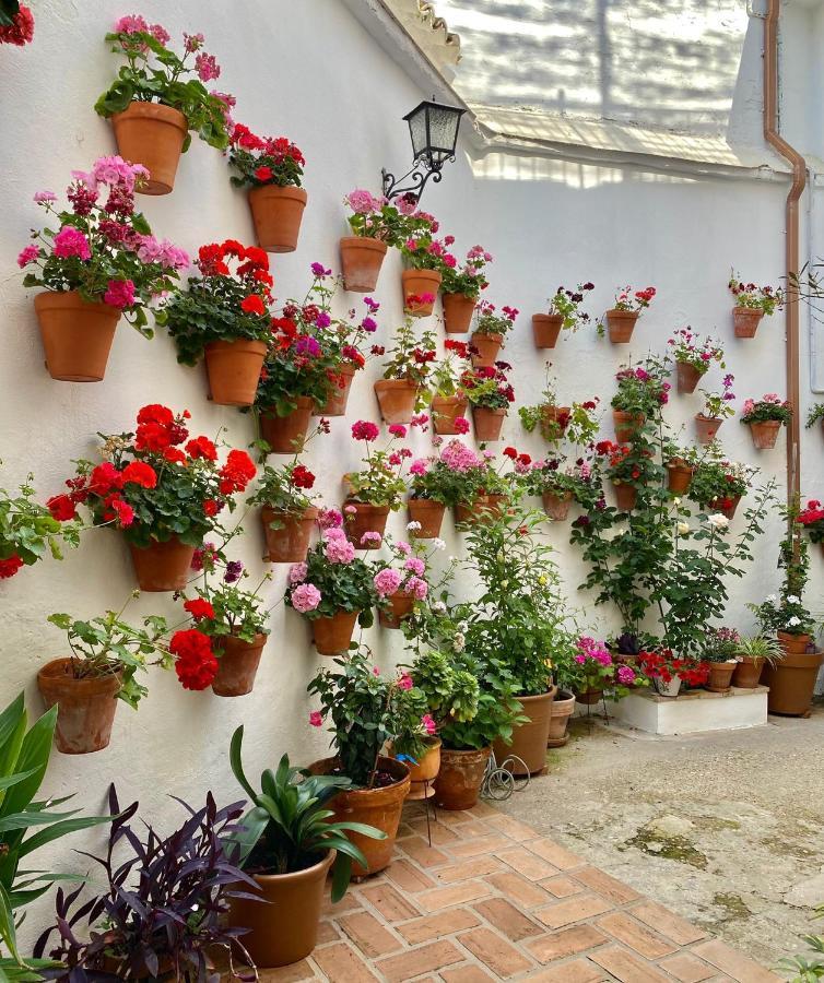Amal Casa De Huespedes Appartement Córdoba Buitenkant foto